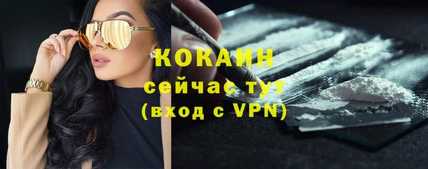 шишки Аркадак